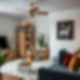 Stylish storage solutions for home organization