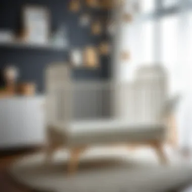 Variety of Infant Crib Designs Different types of cribs for infants