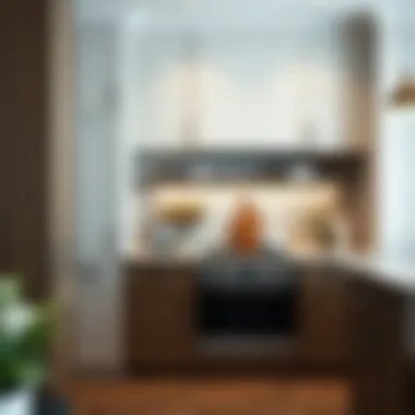 Cabinet Maintenance Tips Tips for maintaining custom cabinets to ensure longevity