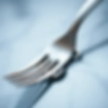 Quality Stainless Steel Fork and Spoon Close-up of a high-quality stainless steel fork and spoon