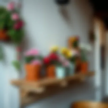 Rustic Flower Shelf Rustic flower shelf featuring a variety of potted flowers