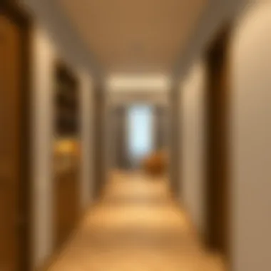 Functional Corridor Design with Storage Functional corridor with storage and lighting design