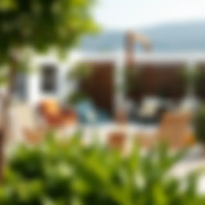 Diverse Design Options Variety of garden chairs showcased in outdoor decor