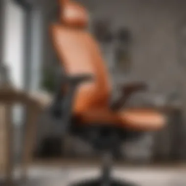 Ergonomic Features of Modern Office Chair Close-up of ergonomic features on a contemporary office chair