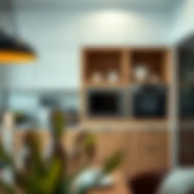 Maximizing Kitchen Space with Microwave Cabinets Microwave cabinet showcasing innovative storage solutions