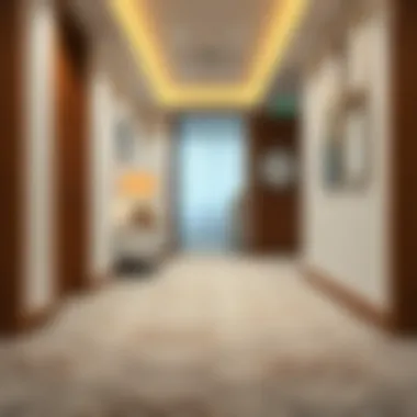 Perfectly Placed Washable Corridor Carpet Perfectly placed washable corridor carpet in a modern setting