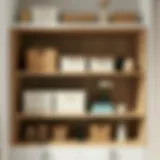 Elegant organized shelves with storage boxes