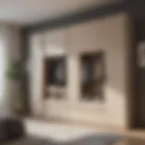 Elegant sliding wardrobe showcasing modern design