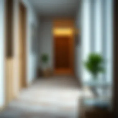 Stylish Washable Corridor Carpet Stylish washable corridor carpet enhancing modern interior design