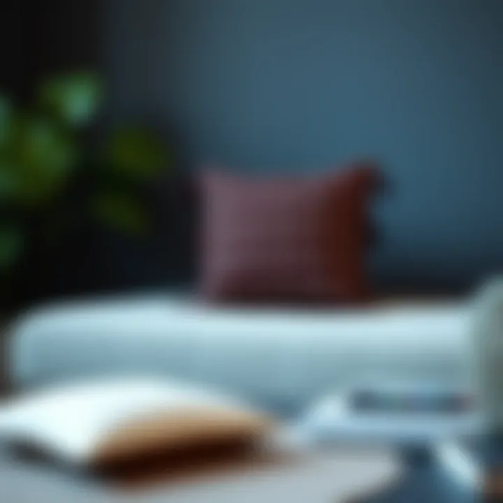 Trendy designs for modern pillow covers